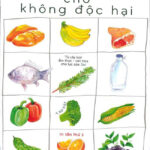 Ăn Gì Cho Không Độc Hại