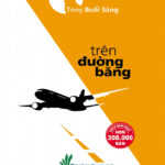 Review Sách Trên Đường Băng - Tony Buổi Sáng